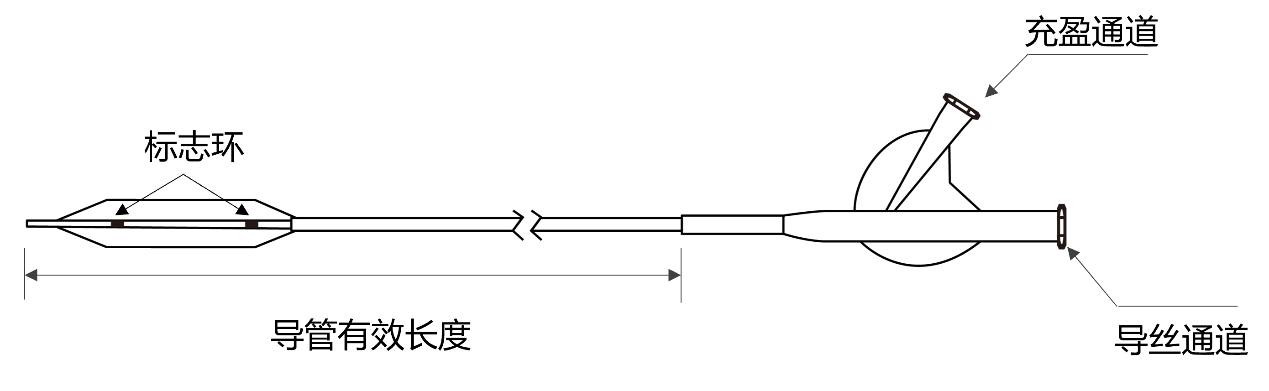 周游™ Voyaging™球囊扩张导管(图1)